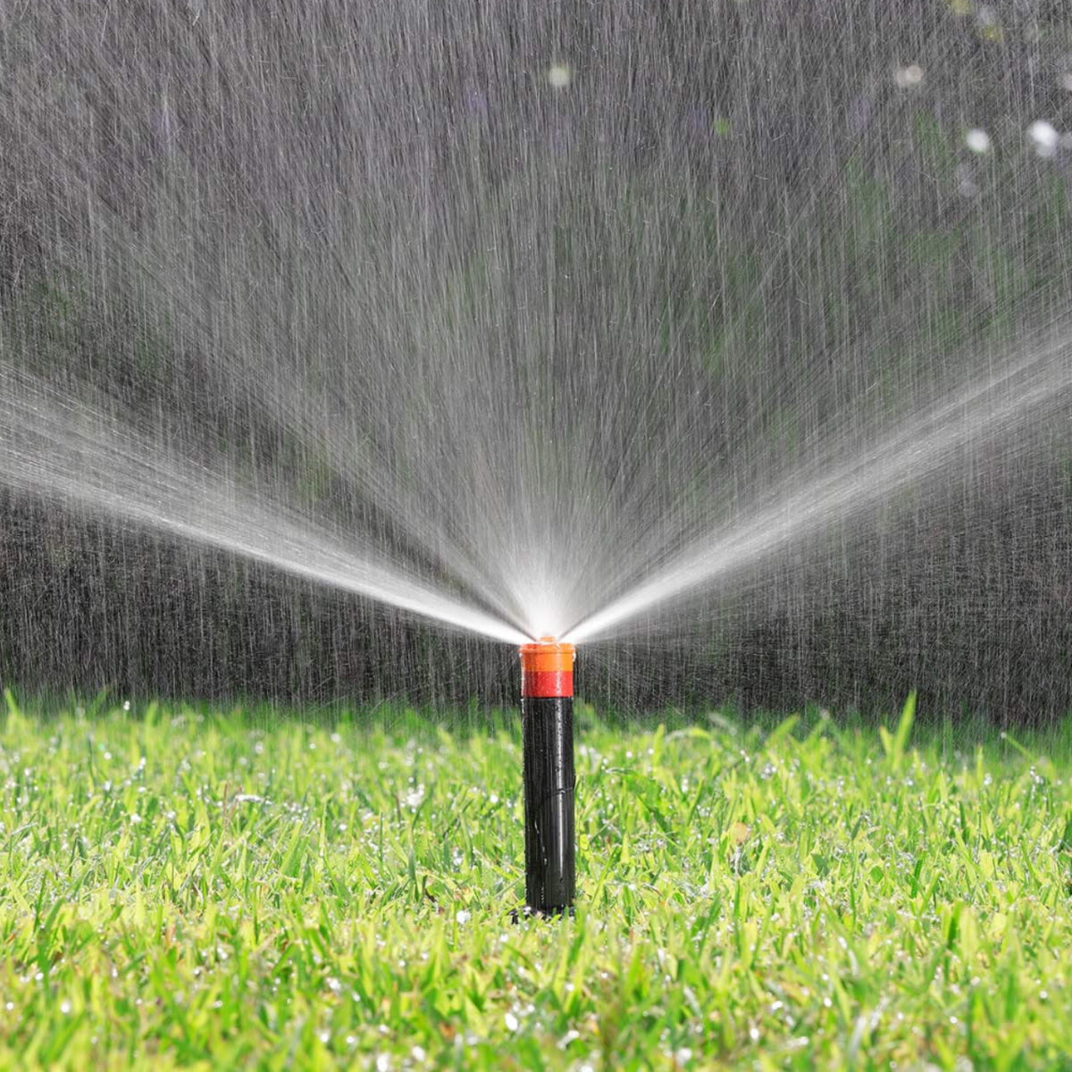 Claber 90121 End Strip 4 Inch Pop-Up Sprinkler
