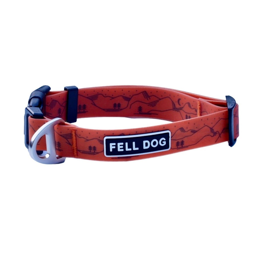 Fell Dog Drench collar orange