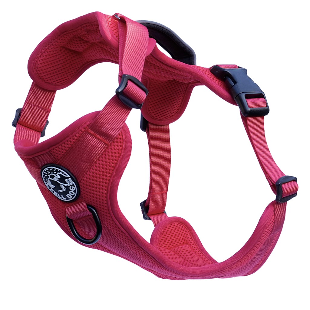 Fell Dog Helvellyn Harness Red