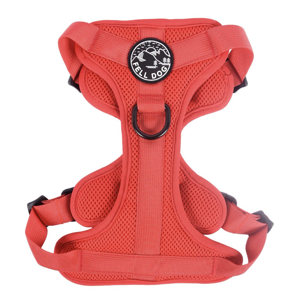 Fell Dog Helvellyn Harness Red