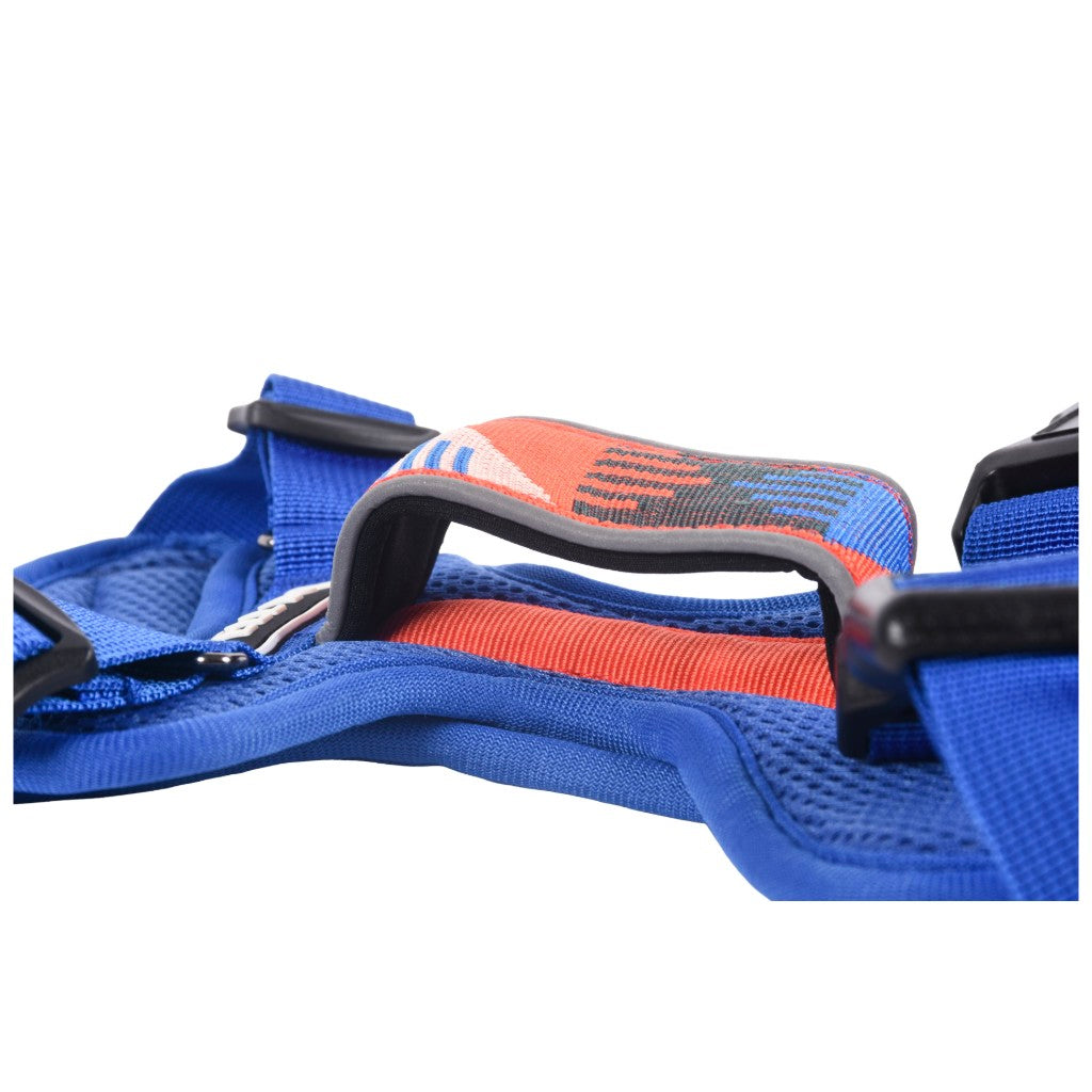 Fell Dog Helvellyn Harness Blue
