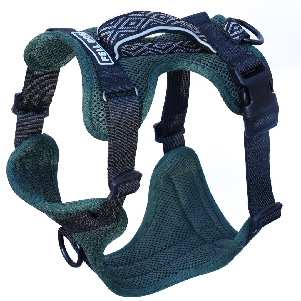 Fell Dog Helvellyn Harness Green