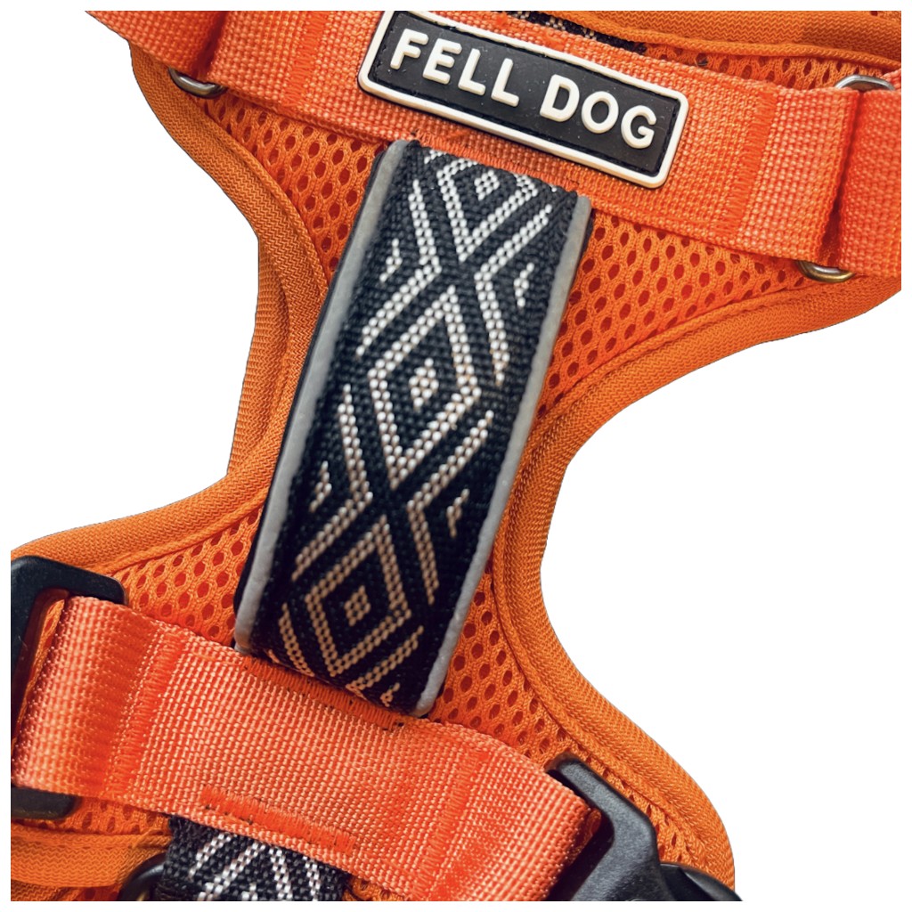 Fell Dog Helvellyn Harness Orange