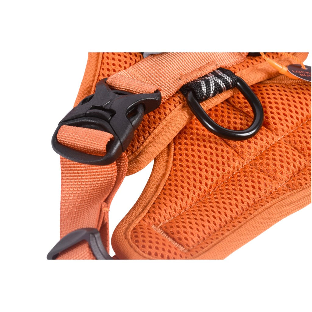 Fell Dog Helvellyn Harness Orange