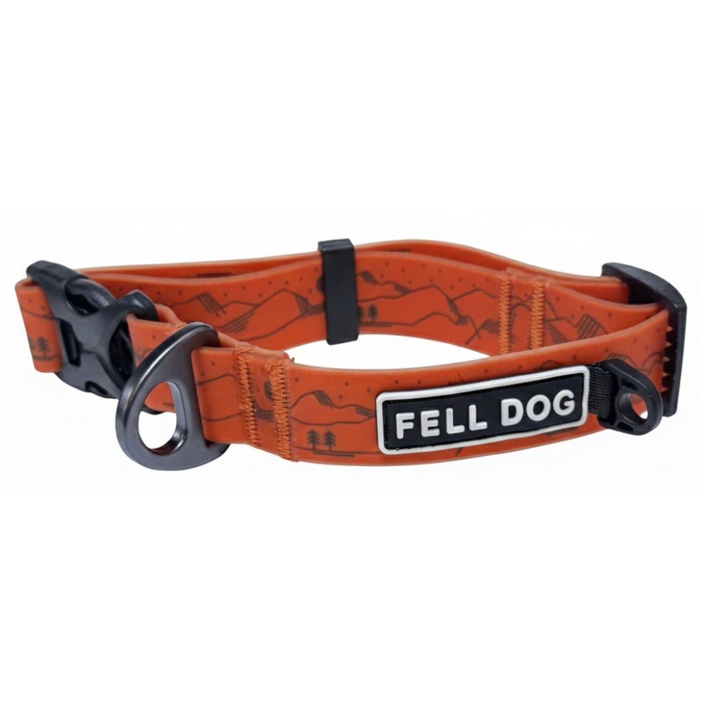 Fell Dog Drench collar orange