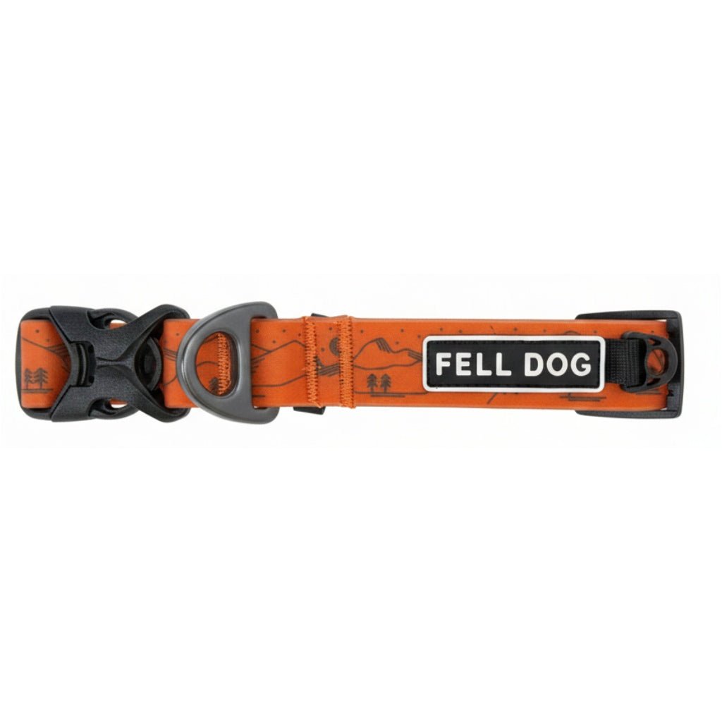 Fell Dog Drench collar orange
