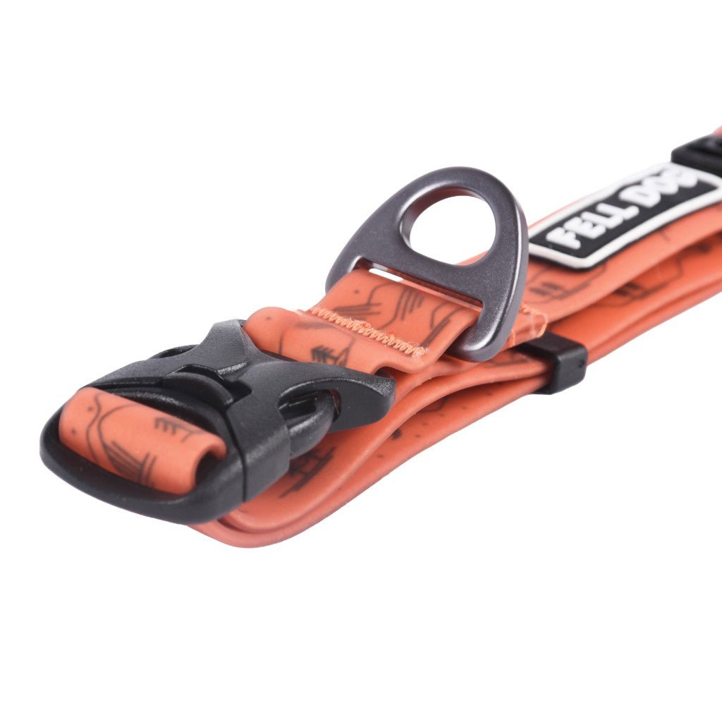 Fell Dog Drench collar orange