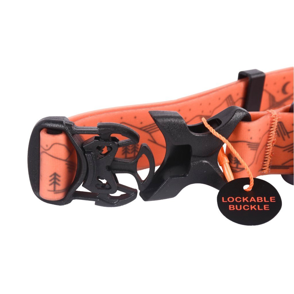 Fell Dog Drench collar orange