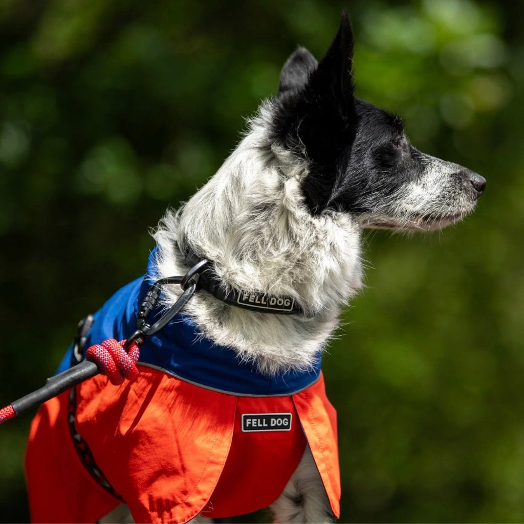 Fell Dog Drench Waterproof Jacket. Colour Red Blue