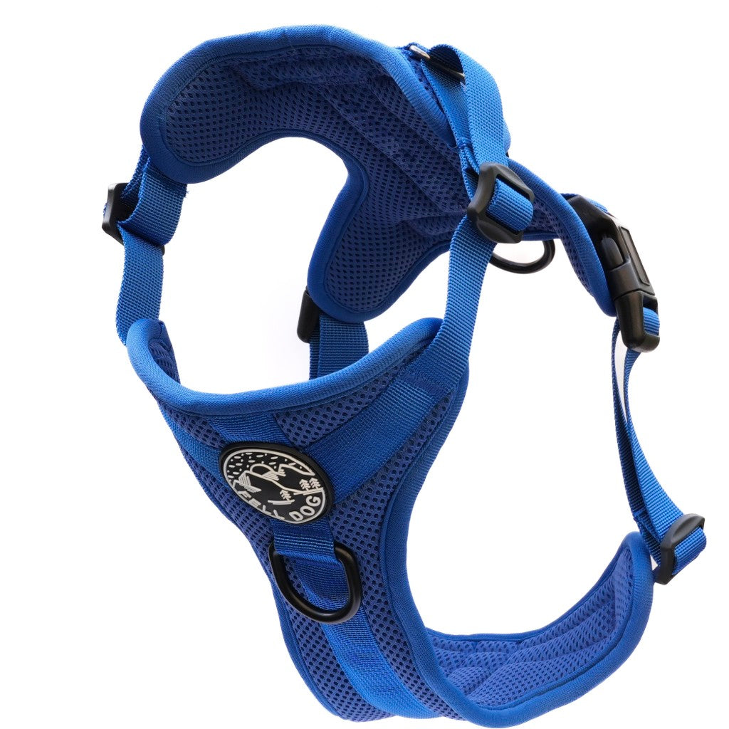 Fell Dog Helvellyn Harness Blue