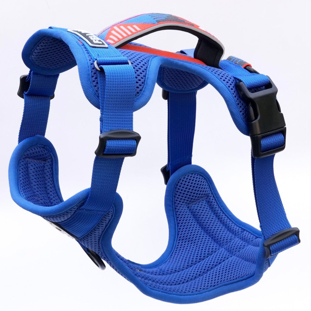 Fell Dog Helvellyn Harness Blue