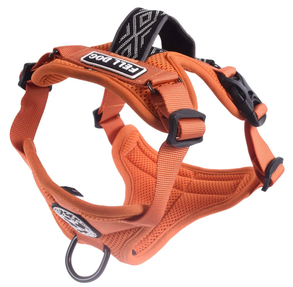 Fell Dog Helvellyn Harness Orange