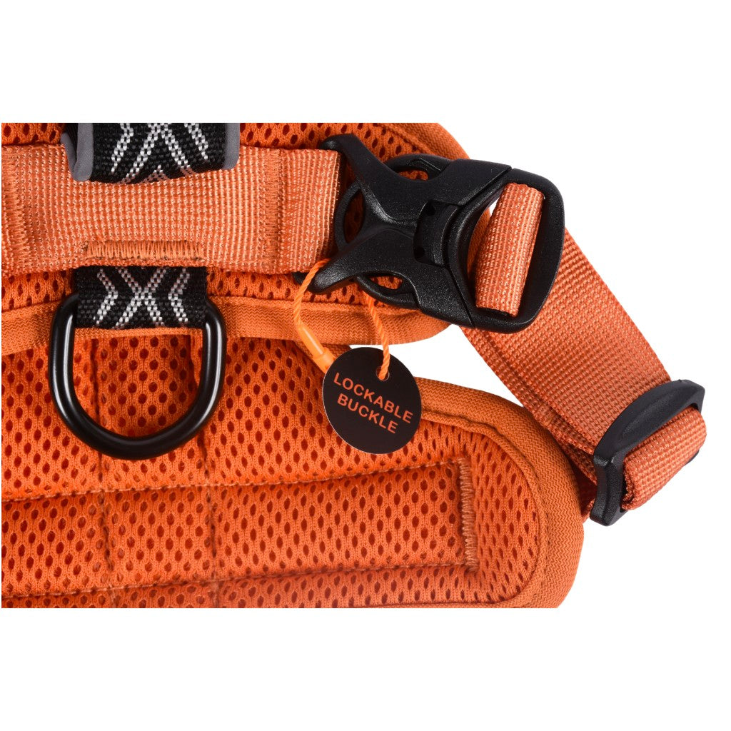 Fell Dog Helvellyn Harness Orange