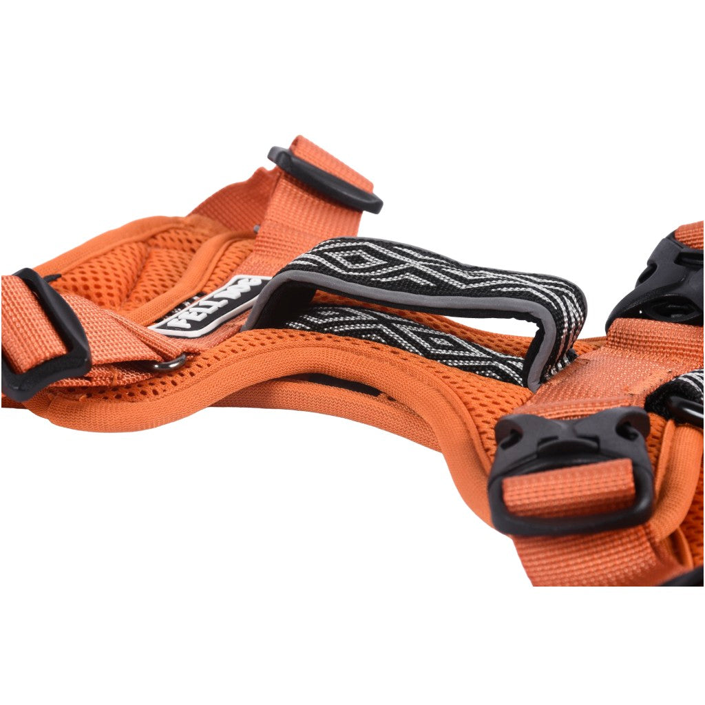 Fell Dog Helvellyn Harness Orange