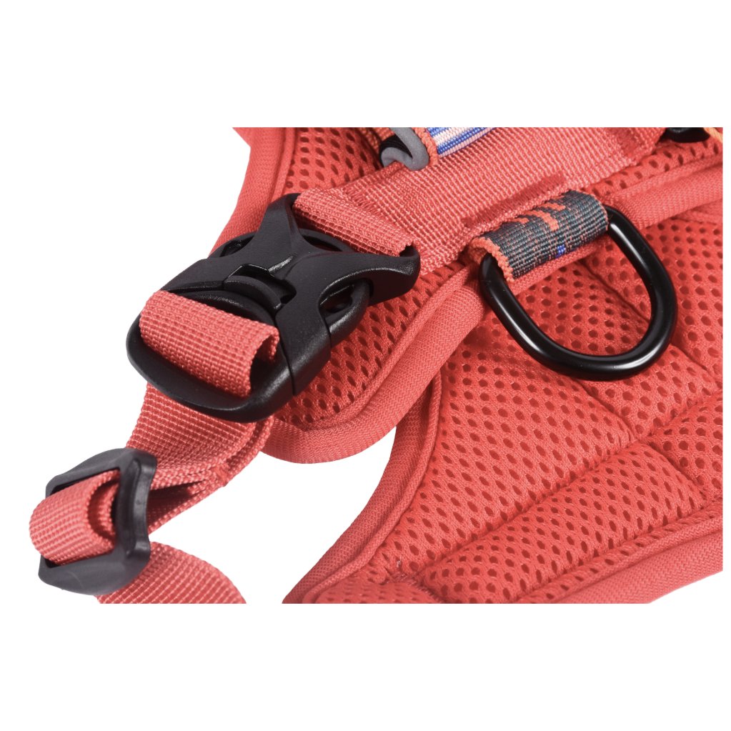 Fell Dog Helvellyn Harness Red