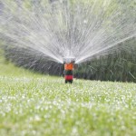 Pop-Up Sprinklers