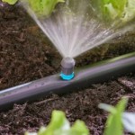 Micro Sprinklers