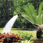 Watering Lances