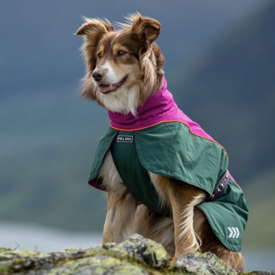 Fell Dog Drench Waterproof Jacket | Berry Forest