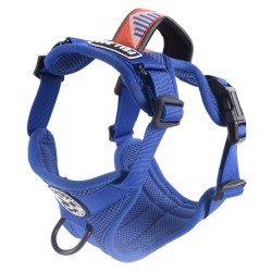 Fell Dog Helvellyn Harness Blue