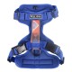 Fell Dog Helvellyn Harness Blue