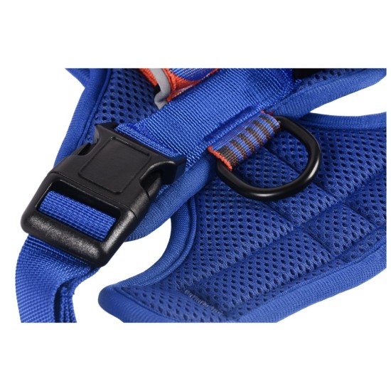 Fell Dog Helvellyn Harness Blue