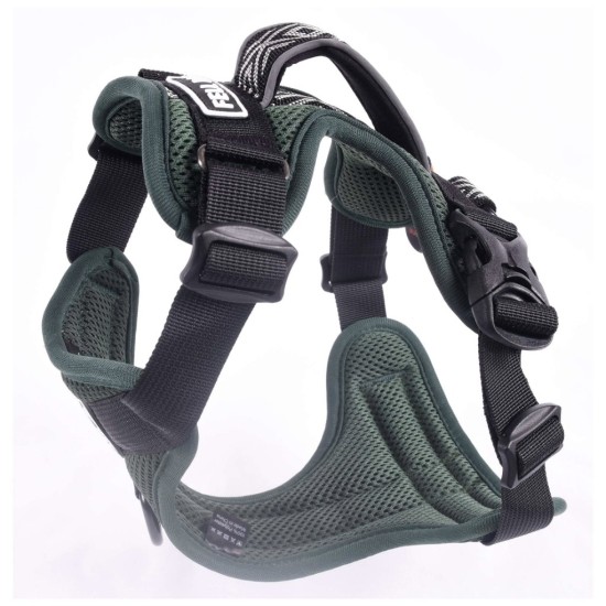 Fell Dog Helvellyn Harness Green