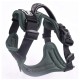 Fell Dog Helvellyn Harness Green