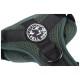 Fell Dog Helvellyn Harness Green