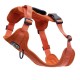 Helvellyn Dog Harness