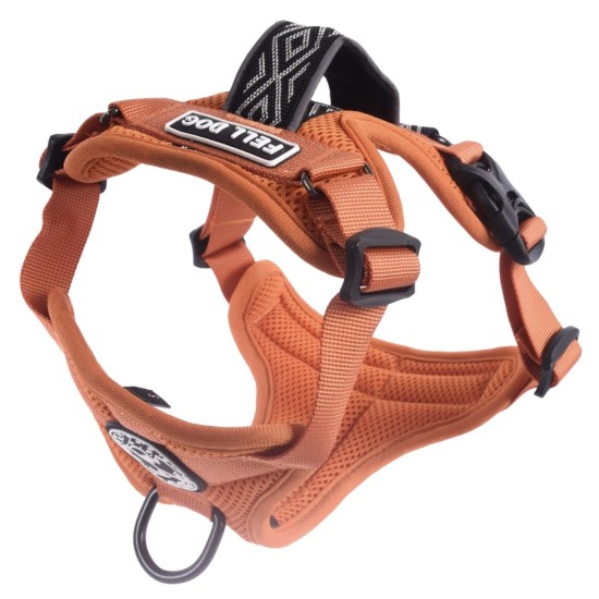 Fell Dog Helvellyn Dog Harness Orange