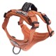 Fell Dog Helvellyn Dog Harness Orange