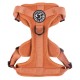 Fell Dog Helvellyn Dog Harness Orange