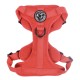 Fell Dog Helvellyn Dog Harness Red