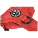 Fell Dog Helvellyn Dog Harness Red