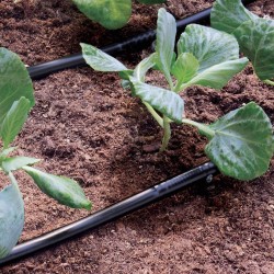 Claber 90354 Self Regulating Dripper Tube