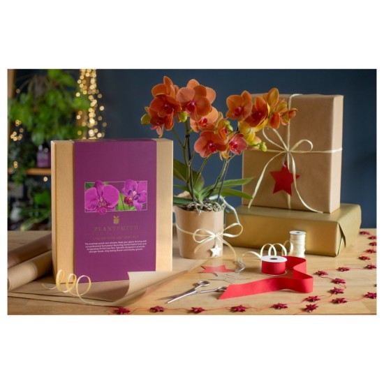 Plantsmith Orchid Care Gift Set